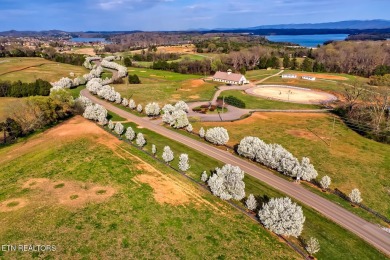One of the most GENTLY SLOPED LAKEFRONT LOTs still available in on Rarity Bay Country Club - Loudon in Tennessee - for sale on GolfHomes.com, golf home, golf lot