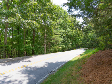 2 Acres Lots in Champion Hills Golf Community on Champion Hills Club, Inc. in North Carolina - for sale on GolfHomes.com, golf home, golf lot