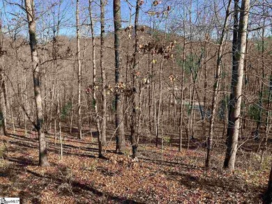 Fantastic opportunity at The Cliffs at Mountain Park, The on The Cliffs at Mountain Park  in South Carolina - for sale on GolfHomes.com, golf home, golf lot