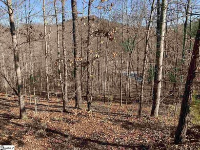 Fantastic opportunity at The Cliffs at Mountain Park, The on The Cliffs at Mountain Park  in South Carolina - for sale on GolfHomes.com, golf home, golf lot