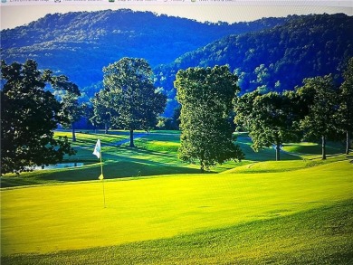 2 Cleared and Flat lots in the Beautiful Bluffs of Holiday on Holiday Island Golf Course in Arkansas - for sale on GolfHomes.com, golf home, golf lot
