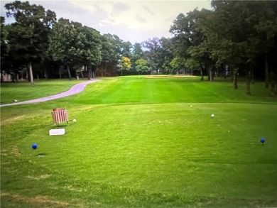 2 Cleared and Flat lots in the Beautiful Bluffs of Holiday on Holiday Island Golf Course in Arkansas - for sale on GolfHomes.com, golf home, golf lot