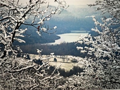2 Cleared and Flat lots in the Beautiful Bluffs of Holiday on Holiday Island Golf Course in Arkansas - for sale on GolfHomes.com, golf home, golf lot