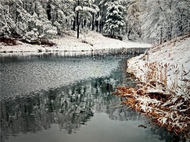 2 Cleared and Flat lots in the Beautiful Bluffs of Holiday on Holiday Island Golf Course in Arkansas - for sale on GolfHomes.com, golf home, golf lot