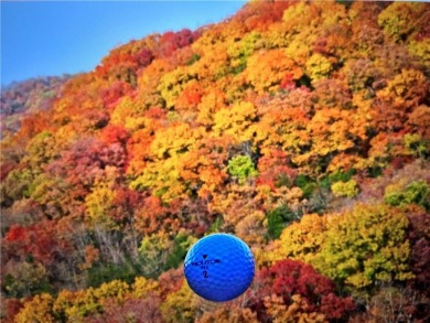 2 Cleared and Flat lots in the Beautiful Bluffs of Holiday on Holiday Island Golf Course in Arkansas - for sale on GolfHomes.com, golf home, golf lot