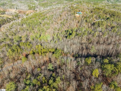 Listed by Kim Crain/Herlong-Sir.  156 Eastatoe Parkway offers a on The Cliffs At Keowee Vineyards Golf Club in South Carolina - for sale on GolfHomes.com, golf home, golf lot