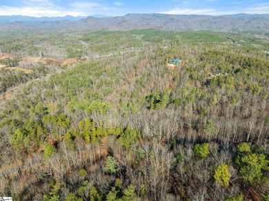 Listed by Kim Crain/Herlong-Sir.  156 Eastatoe Parkway offers a on The Cliffs At Keowee Vineyards Golf Club in South Carolina - for sale on GolfHomes.com, golf home, golf lot