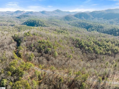 Listed by Kim Crain with Herlong-SIR.  163 Eastatoe Parkway is a on The Reserve At Lake Keowee in South Carolina - for sale on GolfHomes.com, golf home, golf lot