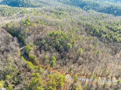 Listed by Kim Crain with Herlong-SIR.  163 Eastatoe Parkway is a on The Reserve At Lake Keowee in South Carolina - for sale on GolfHomes.com, golf home, golf lot