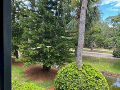 VERY DESIRABLE GATED COMMUNITY OF EAST LAKE WOODLANDS, CORNER on East Lake Woodlands Country Club in Florida - for sale on GolfHomes.com, golf home, golf lot