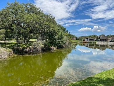 VERY DESIRABLE GATED COMMUNITY OF EAST LAKE WOODLANDS, CORNER on East Lake Woodlands Country Club in Florida - for sale on GolfHomes.com, golf home, golf lot