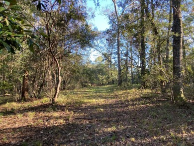 This is a great opportunity with over a quarter of a mile of on Millbrook Country Club in Mississippi - for sale on GolfHomes.com, golf home, golf lot