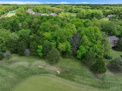 BRING. YOUR. OWN. BUILDER to Innsbrook! A rare chance to build on Innsbrook Resort Golf Course in Missouri - for sale on GolfHomes.com, golf home, golf lot