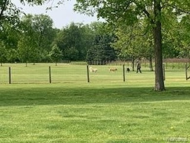 Charming ranch home on 2.58 acres in a peaceful country setting on Lyon Oaks Golf Course in Michigan - for sale on GolfHomes.com, golf home, golf lot