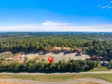 Nestled in the prestigious Tennessee National subdivision, this on Tennessee National Golf Club in Tennessee - for sale on GolfHomes.com, golf home, golf lot