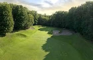 Escape to your perfect vacation retreat in Scenic North Village! on Crystal Mountain Golf Course in Michigan - for sale on GolfHomes.com, golf home, golf lot