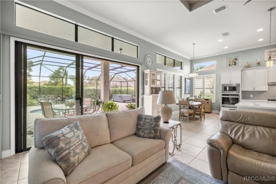Stunning Pool Home in Terra Vista - Former Builder's Showcase! on Skyview At Terra Vista Golf and Country Club in Florida - for sale on GolfHomes.com, golf home, golf lot
