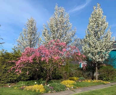 Great character in this spacious, sunlit, 3-4bdrm, 1 bath home on Bangor Municipal Golf Course in Maine - for sale on GolfHomes.com, golf home, golf lot