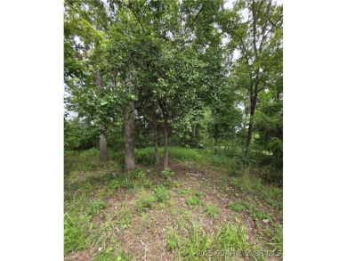 Looking to build?  Not only does this level lot, in Four Seasons on Tan-Tar-A Golf Club in Missouri - for sale on GolfHomes.com, golf home, golf lot