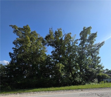 Looking to build?  Not only does this level lot, in Four Seasons on Tan-Tar-A Golf Club in Missouri - for sale on GolfHomes.com, golf home, golf lot