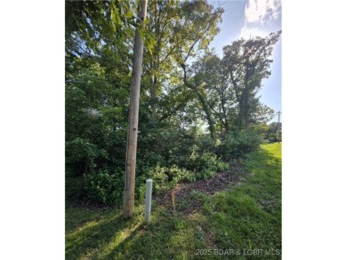 Looking to build?  Not only does this level lot, in Four Seasons on Tan-Tar-A Golf Club in Missouri - for sale on GolfHomes.com, golf home, golf lot