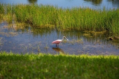 Here's your chance to be part of Vero's premier 55+ community on Oak Harbor Country Club in Florida - for sale on GolfHomes.com, golf home, golf lot