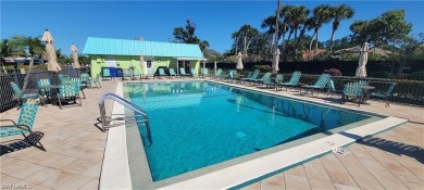 Rare Waterfront Opportunity - Fully Remodeled  Gulf Access!

 on Pelicans Nest Golf Club in Florida - for sale on GolfHomes.com, golf home, golf lot