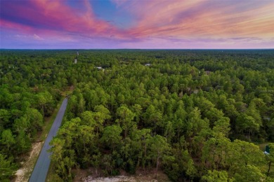 Nestled in the charming community of Citrus Springs, this on Citrus Springs Country Club in Florida - for sale on GolfHomes.com, golf home, golf lot