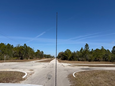 INVEST and WAIT or Build your dream home on this spacious .55 on Indian Lake Estates Golf and Country Club in Florida - for sale on GolfHomes.com, golf home, golf lot