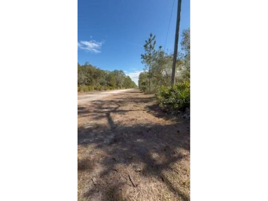 INVEST and WAIT or Build your dream home on this spacious .55 on Indian Lake Estates Golf and Country Club in Florida - for sale on GolfHomes.com, golf home, golf lot