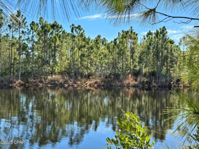 Searching for that special, private place for your next home on Bay Point Resort Golf Club in Florida - for sale on GolfHomes.com, golf home, golf lot