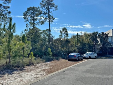 Searching for that special, private place for your next home on Bay Point Resort Golf Club in Florida - for sale on GolfHomes.com, golf home, golf lot