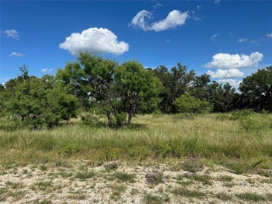 Lot 463 Feather Bay Dr. - King's Point Cove at The Hideout Golf on Hideout Golf Club and Resort  in Texas - for sale on GolfHomes.com, golf home, golf lot