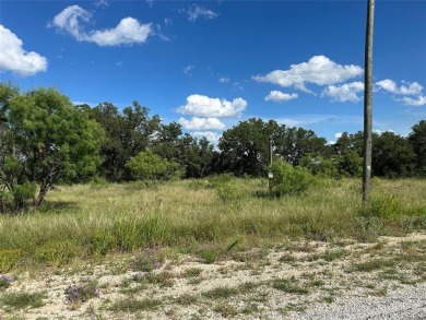 Lot 463 Feather Bay Dr. - King's Point Cove at The Hideout Golf on Hideout Golf Club and Resort  in Texas - for sale on GolfHomes.com, golf home, golf lot