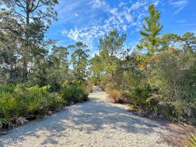 Searching for that special, private place for your next home on Bay Point Resort Golf Club in Florida - for sale on GolfHomes.com, golf home, golf lot