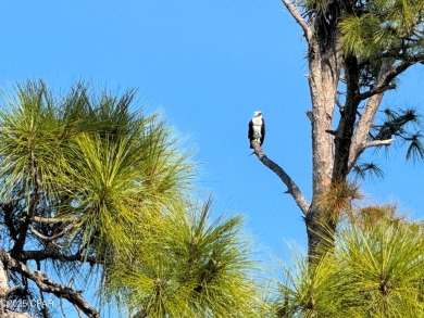 Searching for that special, private place for your next home on Bay Point Resort Golf Club in Florida - for sale on GolfHomes.com, golf home, golf lot