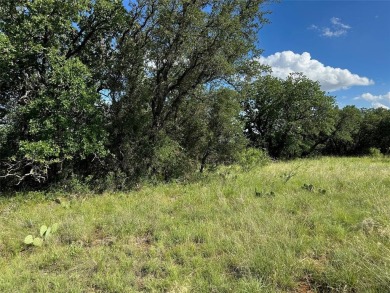 Lot 463 Feather Bay Dr. - King's Point Cove at The Hideout Golf on Hideout Golf Club and Resort  in Texas - for sale on GolfHomes.com, golf home, golf lot