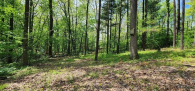 Welcome to Affordable Paradise at *Valley of the Pines*! A on Lake James Golf Club in Indiana - for sale on GolfHomes.com, golf home, golf lot