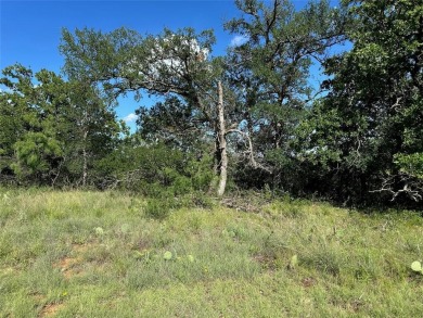 Lot 463 Feather Bay Dr. - King's Point Cove at The Hideout Golf on Hideout Golf Club and Resort  in Texas - for sale on GolfHomes.com, golf home, golf lot