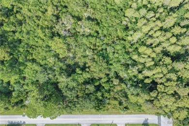 Build Your Dream Estate on 6+ Acres in Crystal River! Welcome to on Seven Rivers Golf and Country Club in Florida - for sale on GolfHomes.com, golf home, golf lot