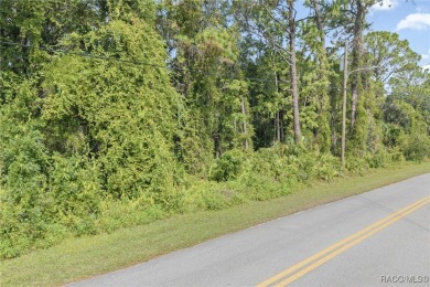 Build Your Dream Estate on 6+ Acres in Crystal River! Welcome to on Seven Rivers Golf and Country Club in Florida - for sale on GolfHomes.com, golf home, golf lot