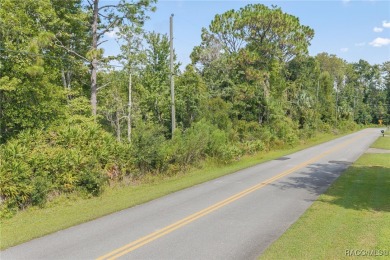 Build Your Dream Estate on 6+ Acres in Crystal River! Welcome to on Seven Rivers Golf and Country Club in Florida - for sale on GolfHomes.com, golf home, golf lot