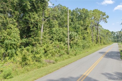 Build Your Dream Estate on 6+ Acres in Crystal River! Welcome to on Seven Rivers Golf and Country Club in Florida - for sale on GolfHomes.com, golf home, golf lot