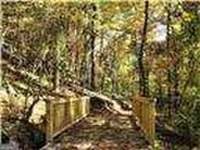 **New Construction** - Move-in-Ready!! TIH Homes residence in on The Highlands Course at Lake Arrowhead in Georgia - for sale on GolfHomes.com, golf home, golf lot