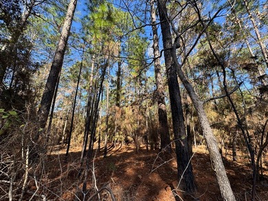 Nice -acre level corner lot located in the sought-after Rayburn on Rayburn Country Club in Texas - for sale on GolfHomes.com, golf home, golf lot