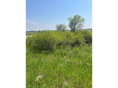 Looking for a small tract of land to build your Calamus Lake on Calamus Golf Course in Nebraska - for sale on GolfHomes.com, golf home, golf lot