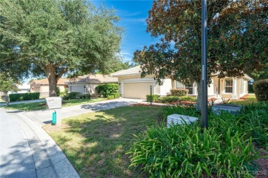 Experience resort-style living in the prestigious Terra Vista on Skyview At Terra Vista Golf and Country Club in Florida - for sale on GolfHomes.com, golf home, golf lot