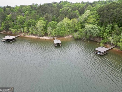 Welcome to an extraordinary Lake Hartwell waterfront opportunity on Currahee Golf Club in Georgia - for sale on GolfHomes.com, golf home, golf lot