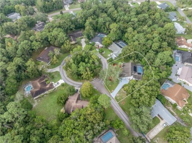 BEAUTIFUL SPACIOUS POOL HOME! This 4 bedroom 2 1/2 baths & 2 car on Sugarmill Woods Golf and Country Club in Florida - for sale on GolfHomes.com, golf home, golf lot