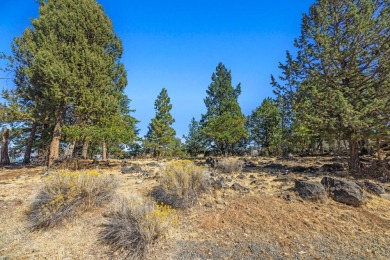 Premier View Lot at the Running Y Resort - Now $127,500! Build on Running Y Ranch Resort in Oregon - for sale on GolfHomes.com, golf home, golf lot